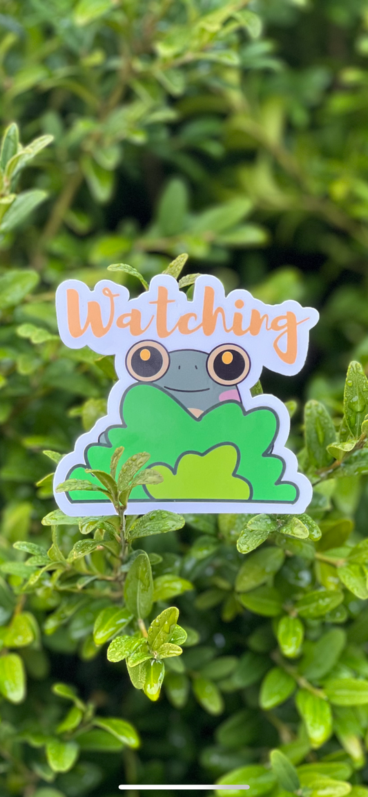 Watching Frog Vinyl Sticker | Waterbottle Decal | Laptop Sticker