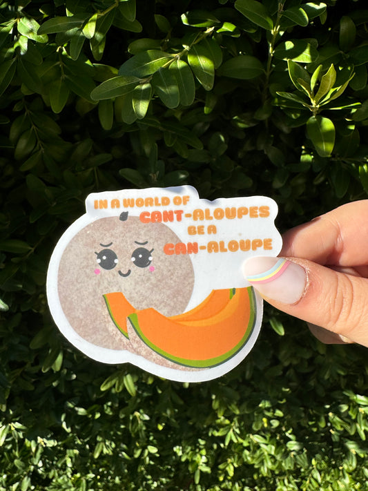 "In a world full of cant-aloupes be a can-aloupe" Decal/Sticker | Vinyl Sticker | Laptop Sticker | Water Bottle Sticker